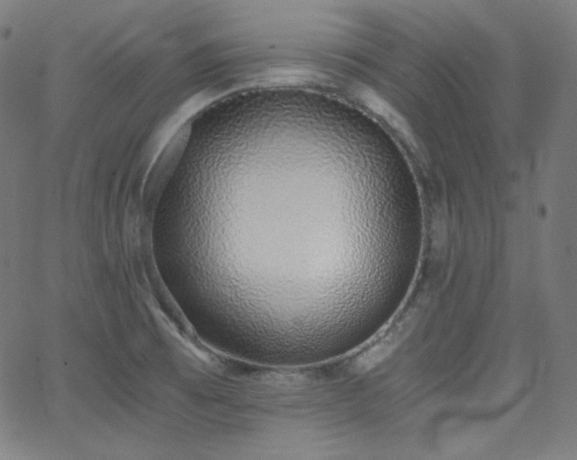 X0000068761473200604281200
