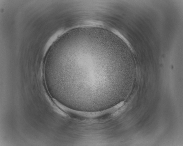X0000068761477200604281200