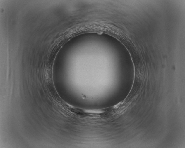 X0000068761490200604281159