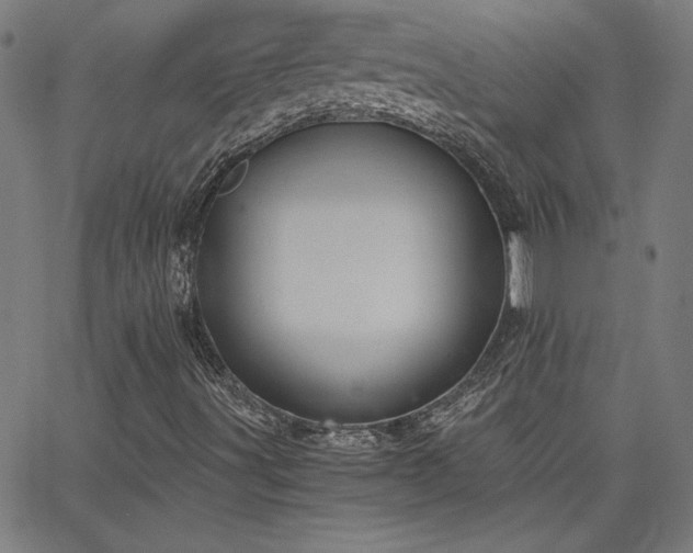 X0000068761491200604281159