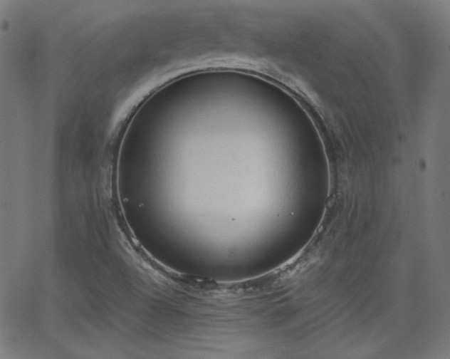 X0000068761504200604281159