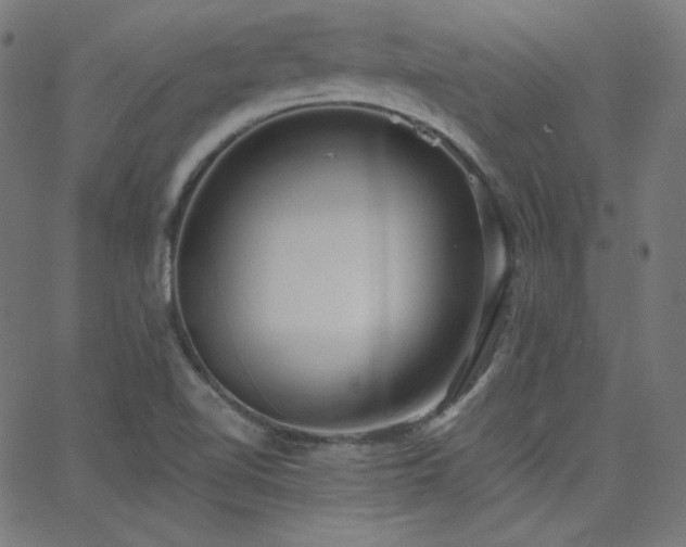 X0000068761510200604281159