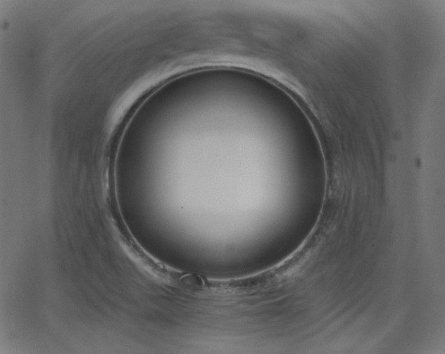X0000068761511200604281159