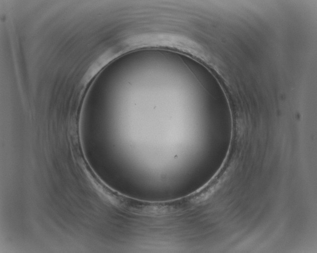 X0000068761521200604281159