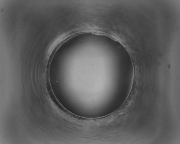 X0000068760007200605011013