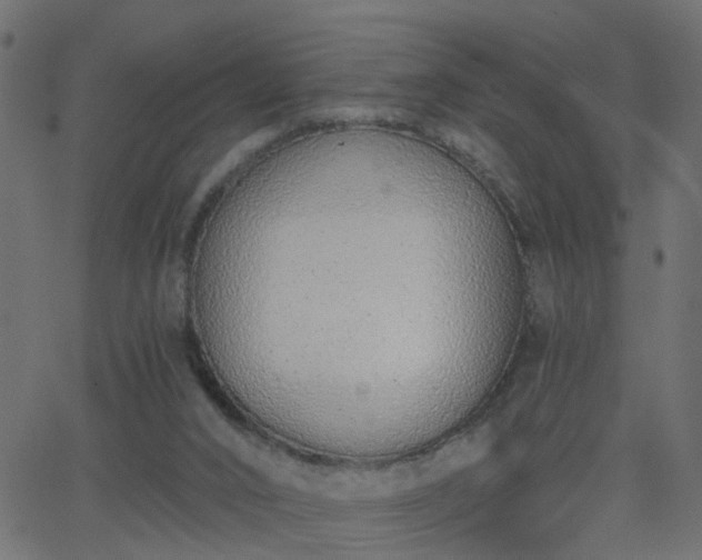 X0000068760016200605011013