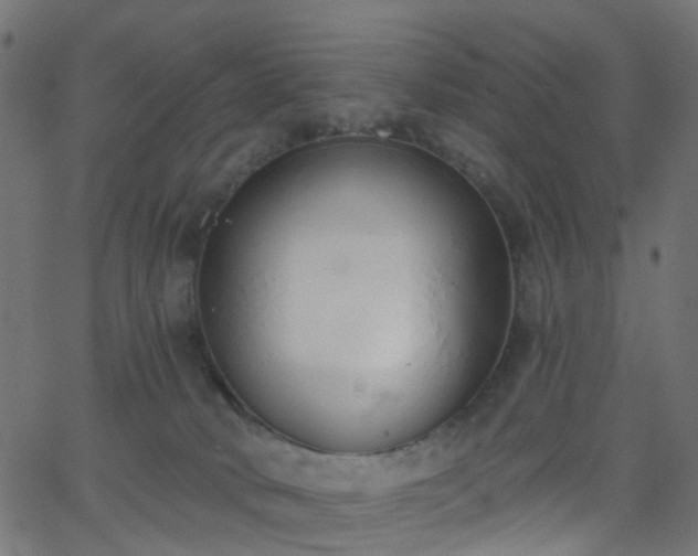 X0000068760034200605011013