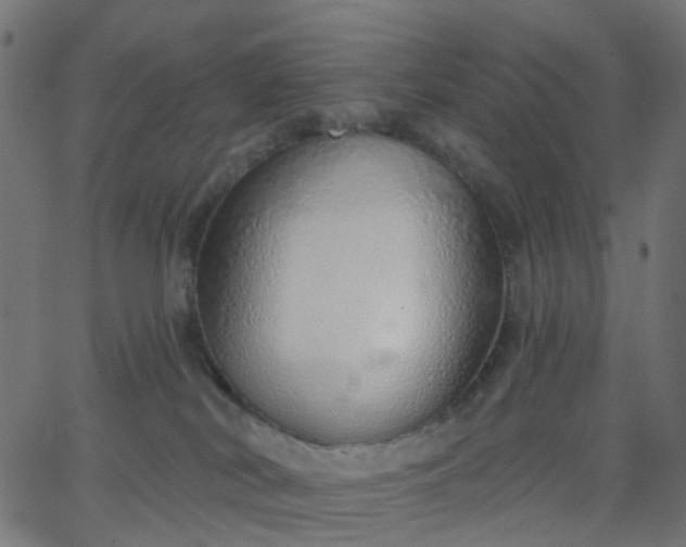 X0000068760038200605011013