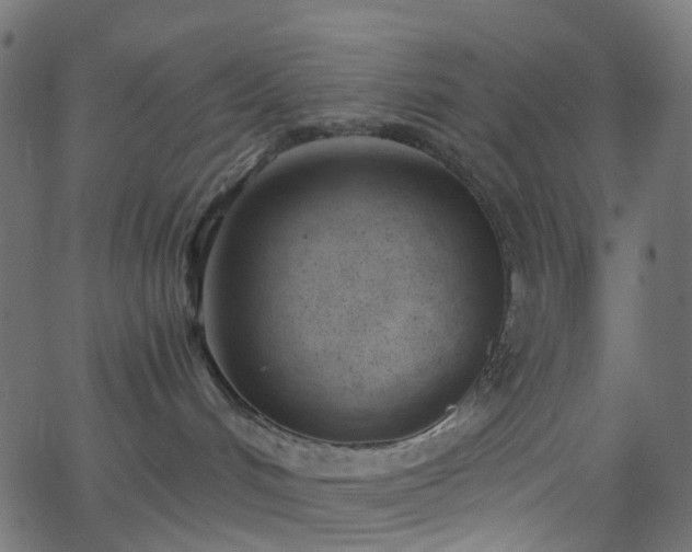 X0000068760048200605011012