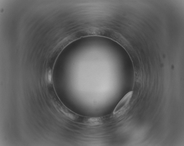 X0000068760095200605011012