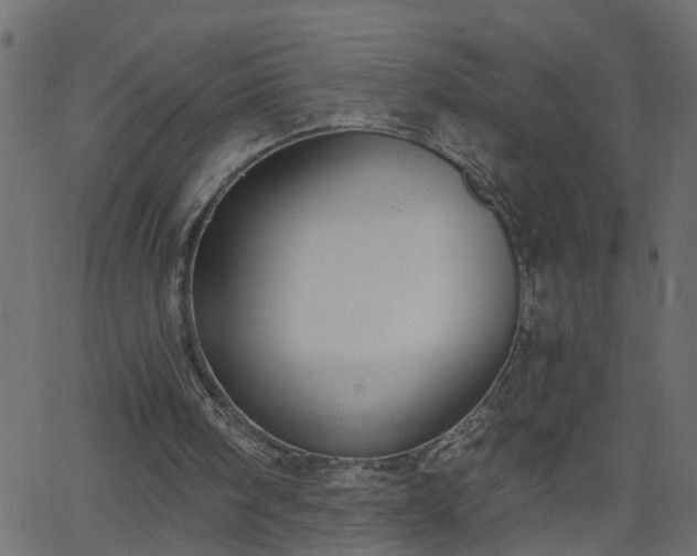 X0000068760098200605011012