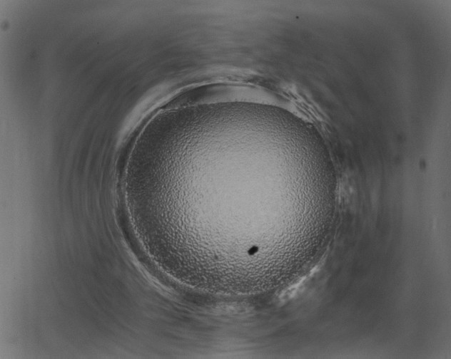 X0000068760101200605011012