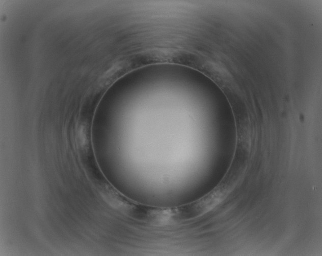 X0000068760131200605011011