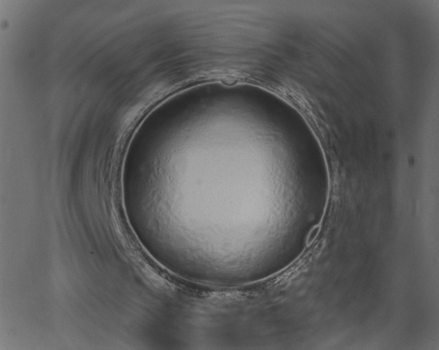 X0000068760145200605011010