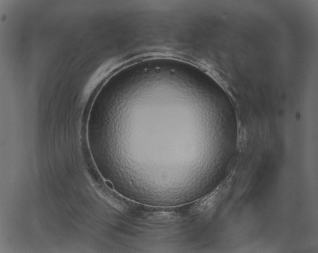 X0000068760151200605011010