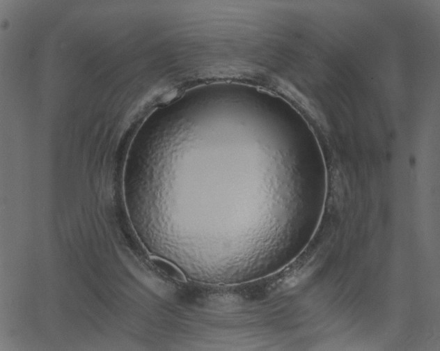 X0000068760203200605011010