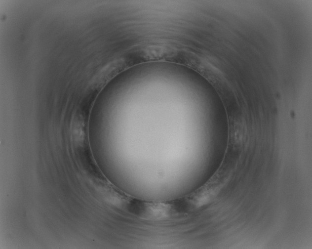 X0000068760226200605011009