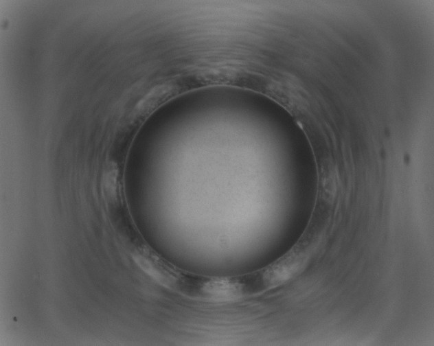 X0000068760231200605011009