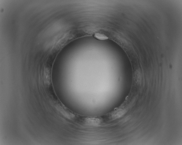 X0000068760234200605011009