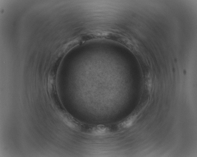 X0000068760235200605011009