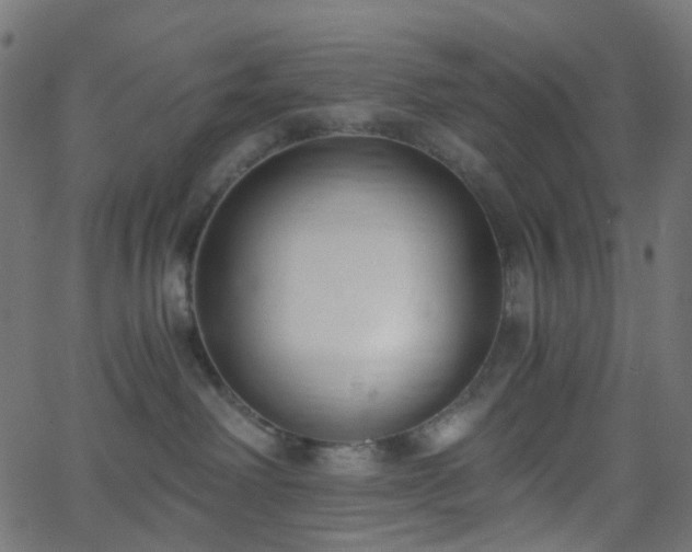 X0000068760238200605011009