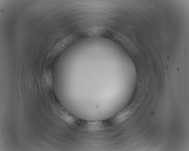 X0000068760240200605011009