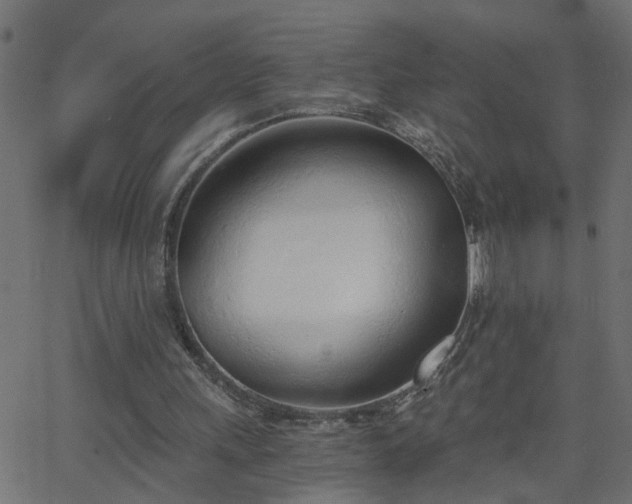 X0000068760243200605011009