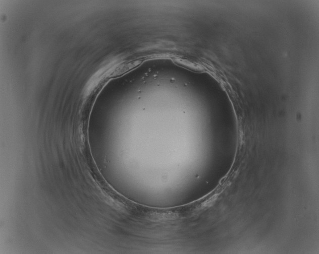 X0000068760245200605011009