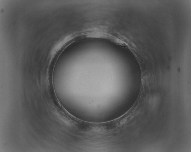 X0000068760248200605011009