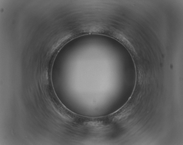 X0000068760251200605011009