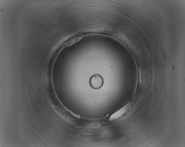 X0000068760252200605011009