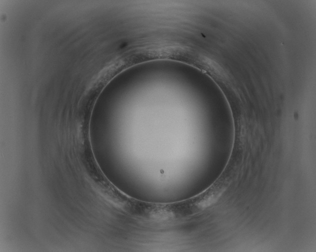 X0000068760258200605011009