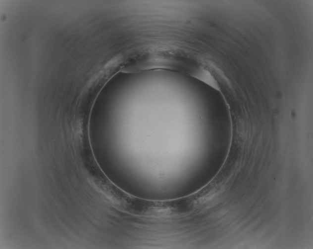 X0000068760260200605011009