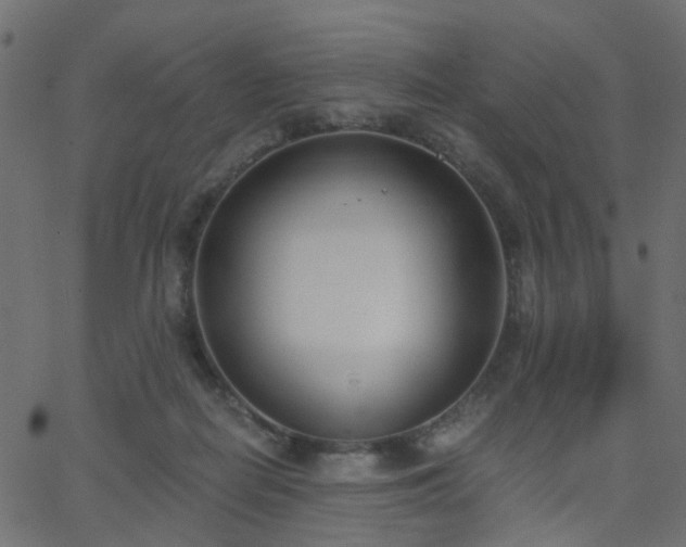 X0000068760266200605011009