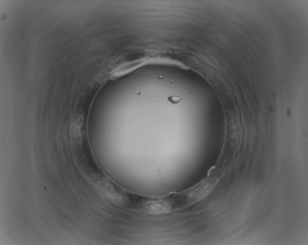 X0000068760275200605011009