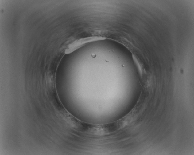 X0000068760276200605011009