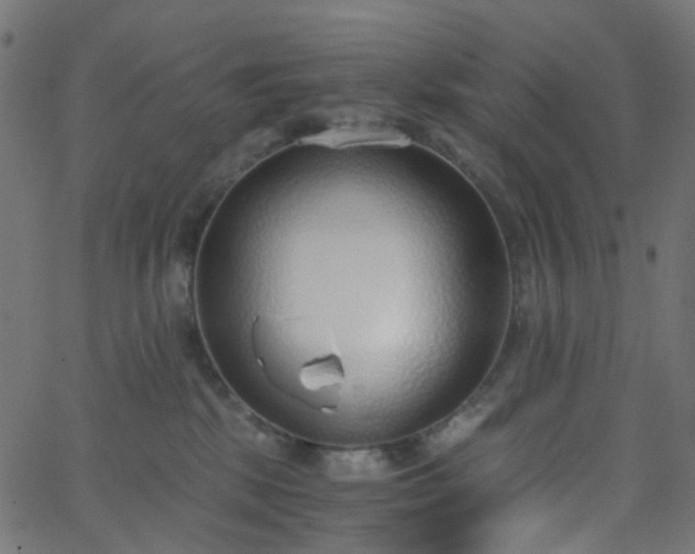 X0000068760281200605011009