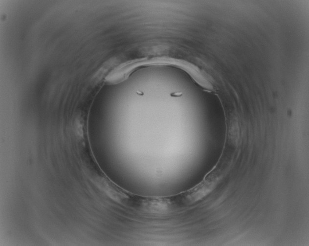 X0000068760282200605011009