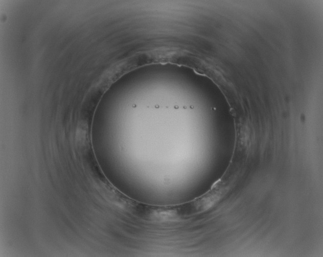 X0000068760283200605011009