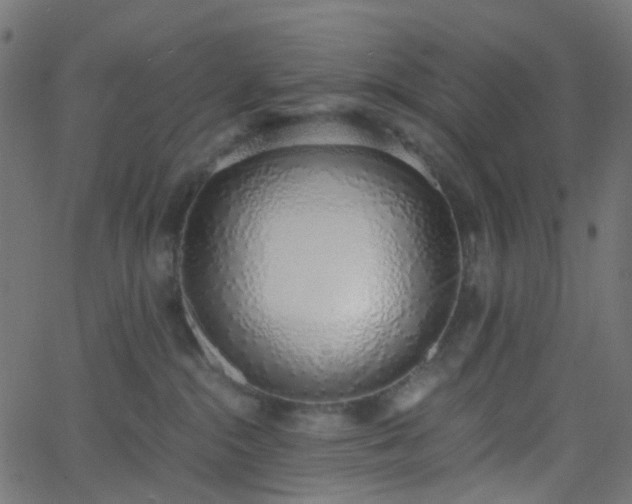 X0000068760284200605011009