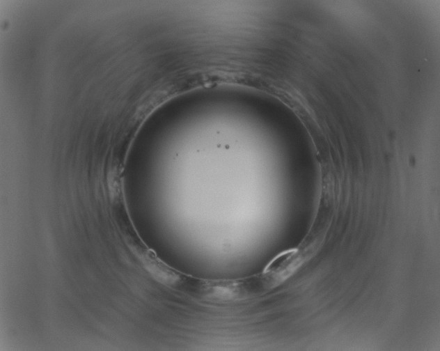 X0000068760285200605011009