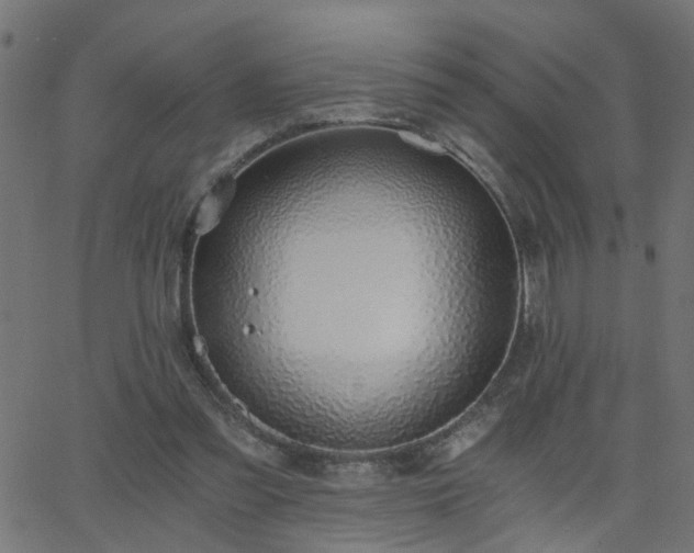 X0000068760301200605011008