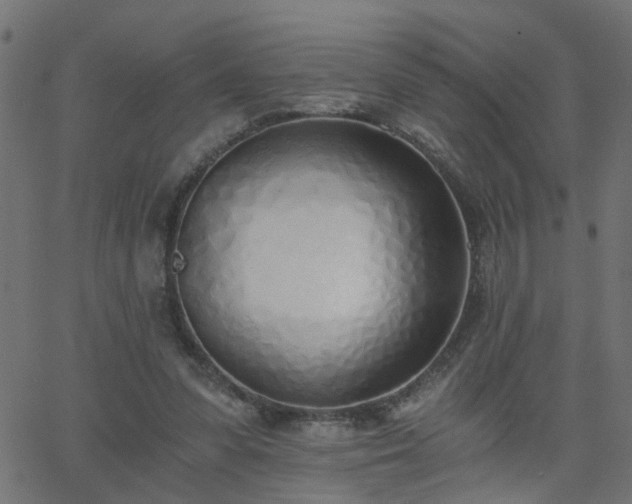 X0000068760303200605011008
