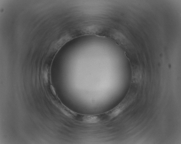 X0000068760334200605011008