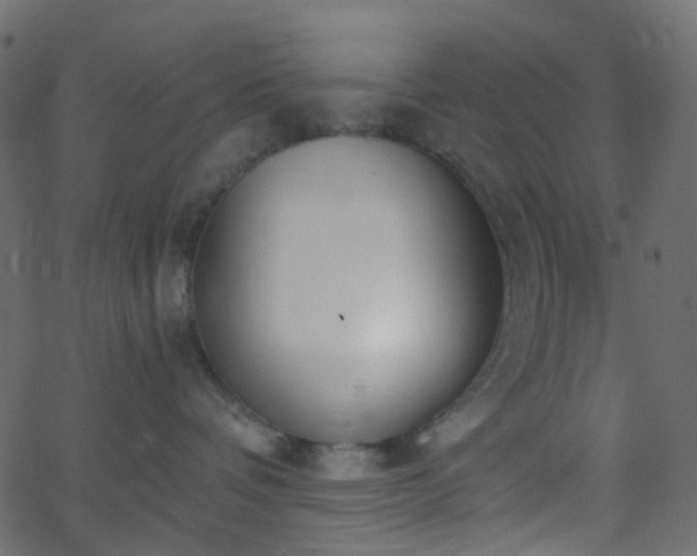X0000068760336200605011008