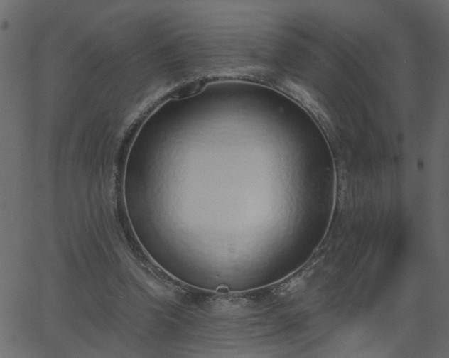 X0000068760346200605011007