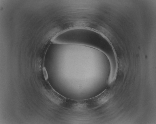 X0000068760356200605011007