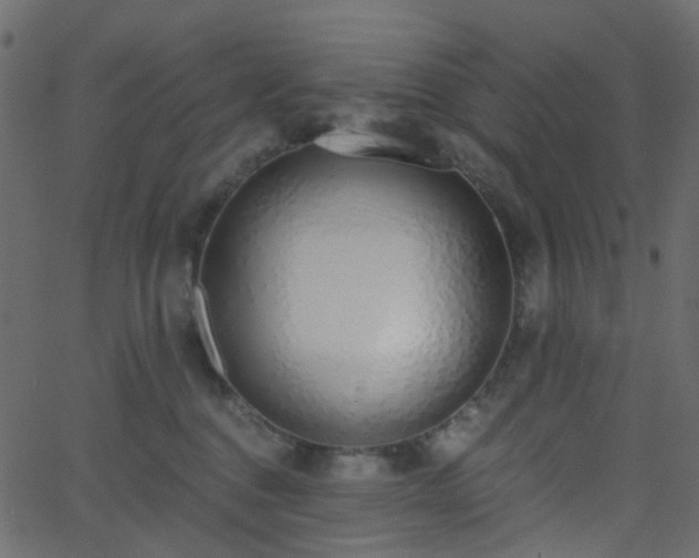 X0000068760376200605011008