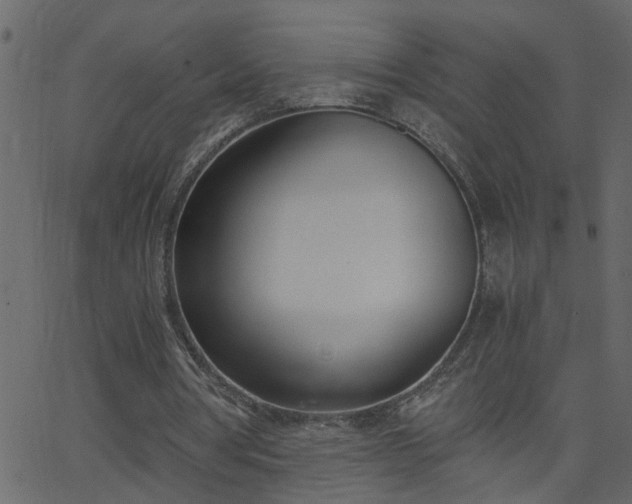 X0000068760386200605011007