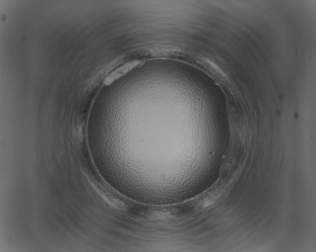X0000068760405200605011007